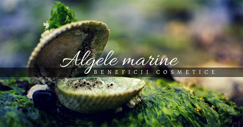 You are currently viewing Algele marine – beneficii cosmetice
